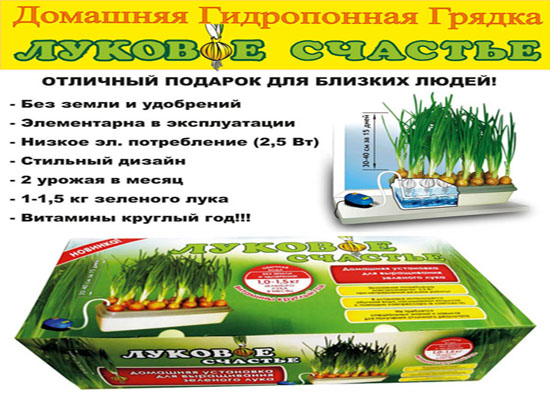 Установка Луковое Счастье домашний проращиватель выращиватель зелёного лука гидропонный в городе Москва, фото 1, стоимость: 1 690 руб.