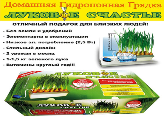 Грядка домашняя гидропонная Луковое Счастье установка выращиватель зелёного лука  в городе Москва, фото 2, телефон продавца: +7 (927) 726-03-20