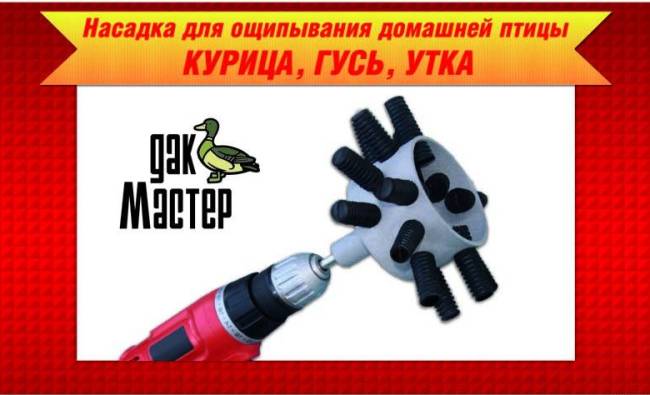 Насадка для ощипывания домашней птицы Duckmaster перосъёмная машинка на дрель и бильные пальцы в городе Москва, фото 4, Другое