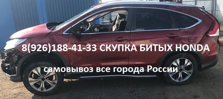 Битый Honda Аварийные Хонда Куплю Всегда в городе Балашиха, фото 4, телефон продавца: +7 (926) 188-41-33