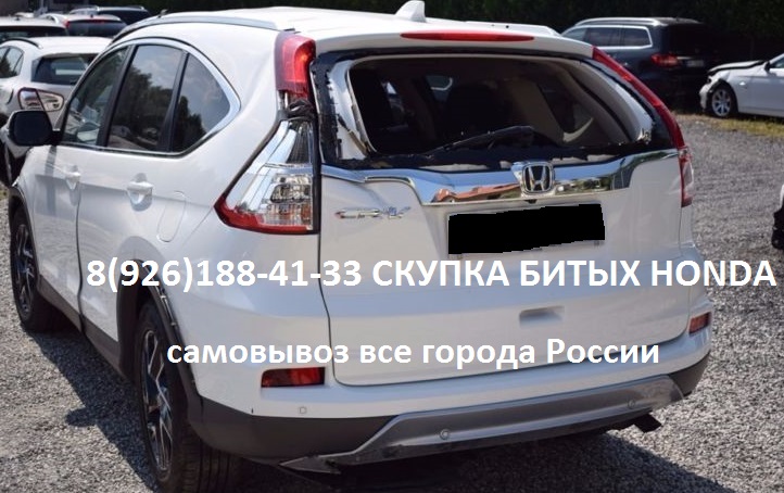 Битый Honda Аварийные Хонда Куплю Всегда в городе Балашиха, фото 9, Московская область