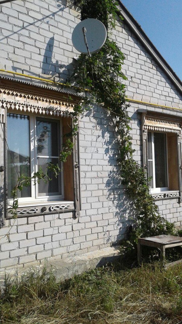 Продам дом с землей в городе Большая Черниговка, фото 4, Продажа домов за городом