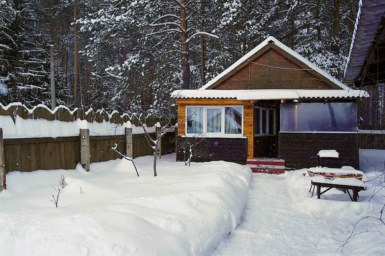 Сдаю дом в турбазе Чайка - Селигер, в сосновом бору, на берегу озера в городе Осташков, фото 1, Тверская область