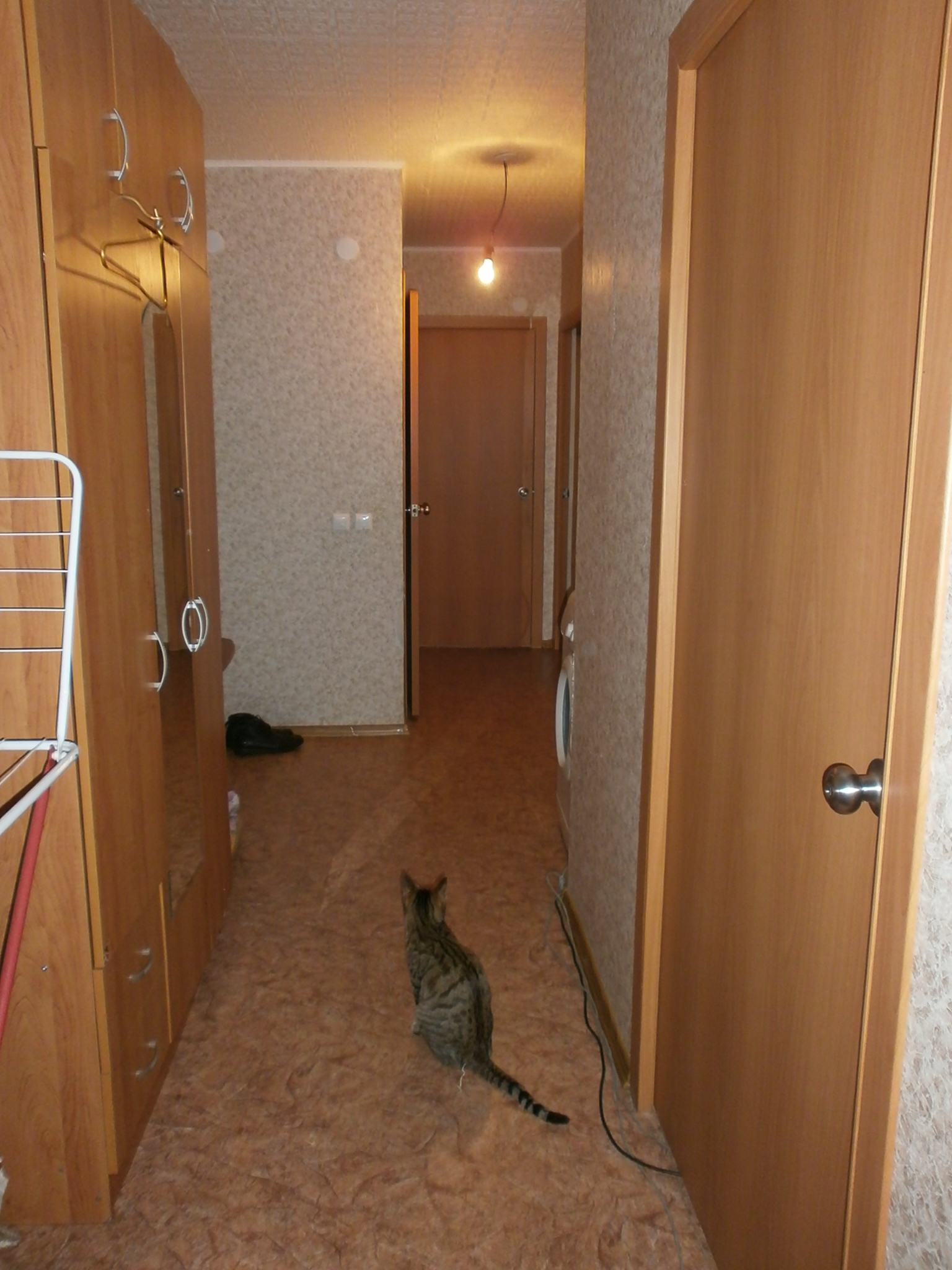 обмен, 3х квартиру комнатную на 2 однокомнатныые в городе Оренбург, фото 2, Оренбургская область