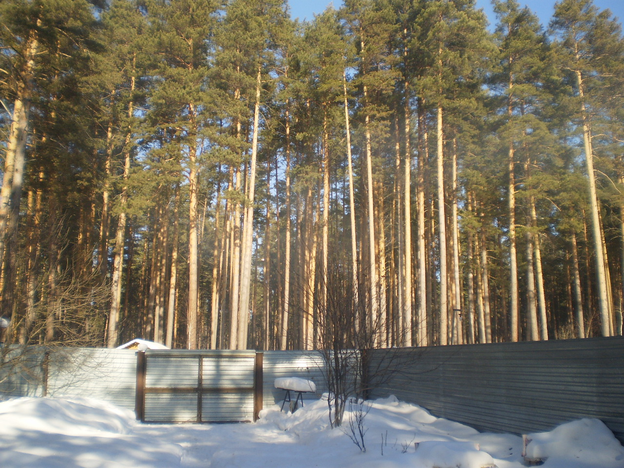 Дача для семейного отдыха в сосновом лесу. в городе Екатеринбург, фото 1, Свердловская область