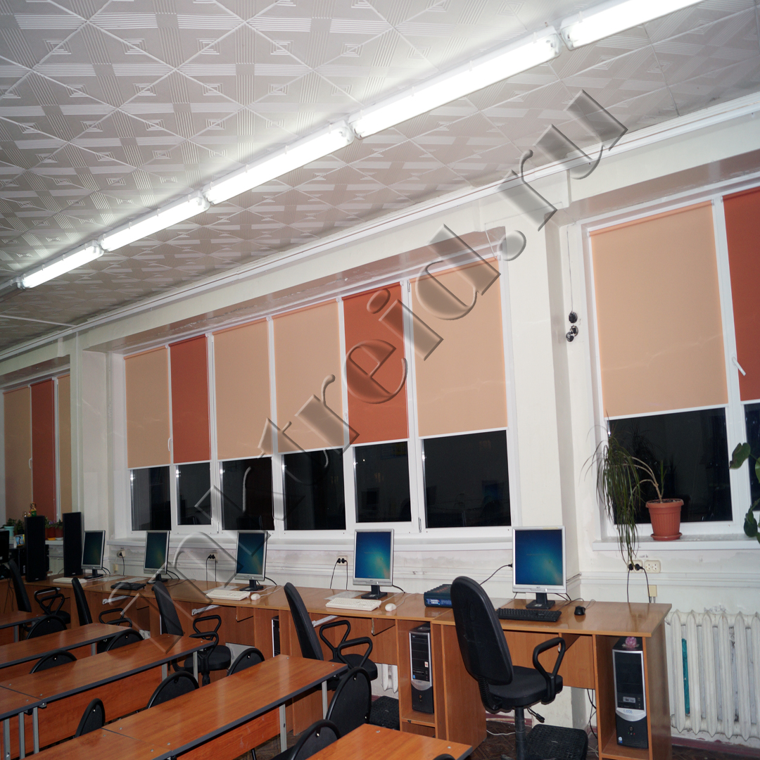 Рулонные шторы и жалюзи в школу, вуз, институт и иные учебное учреждение в городе Волгоград, фото 6, Жалюзи