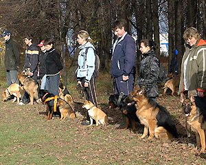 Дрессировка собак в Мичуринске (М.Д.Ц) в городе Мичуринск, фото 1, Тамбовская область