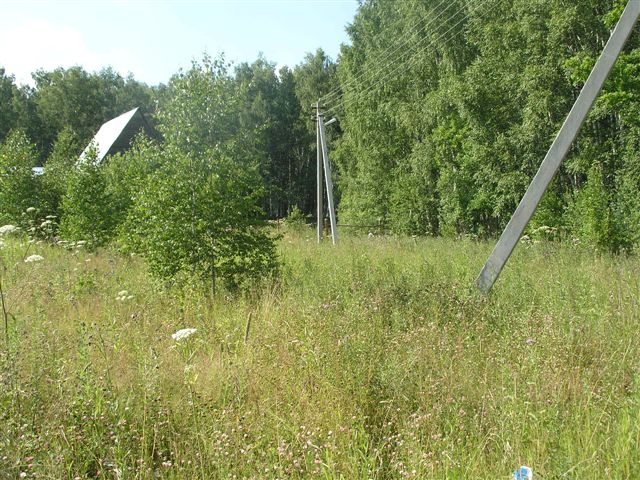 Продается земельный участок 8 соток в CНТ Московский Ветеран в городе Чехов, фото 1, Московская область