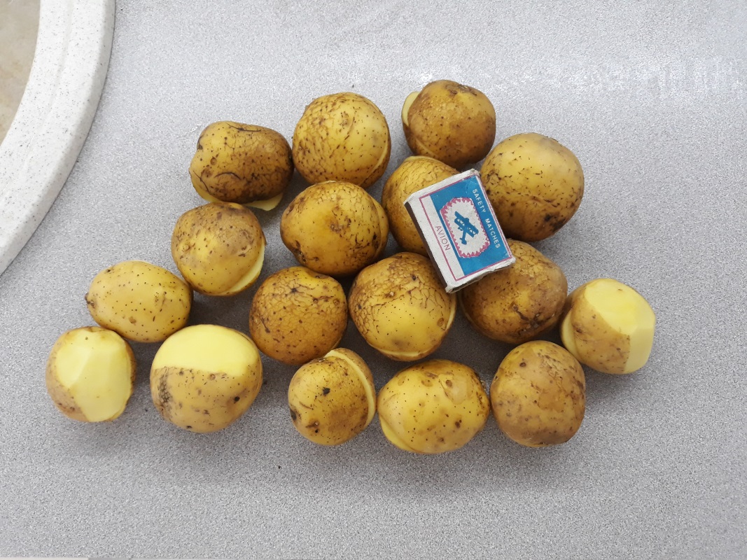 Обмен семенного картофеля на автомобиль в городе Кемерово, фото 1, Кемеровская область