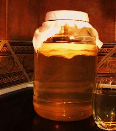 Чайный гриб - полезный напиток в городе Санкт-Петербург, фото 1, телефон продавца: +7 (961) 805-26-74