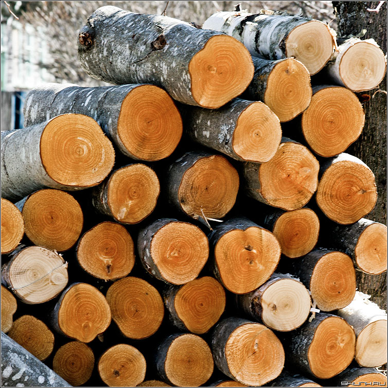 Купить Берёзовые дрова Киевское шоссе. в городе Киевский, фото 3, стоимость: 1 850 руб.