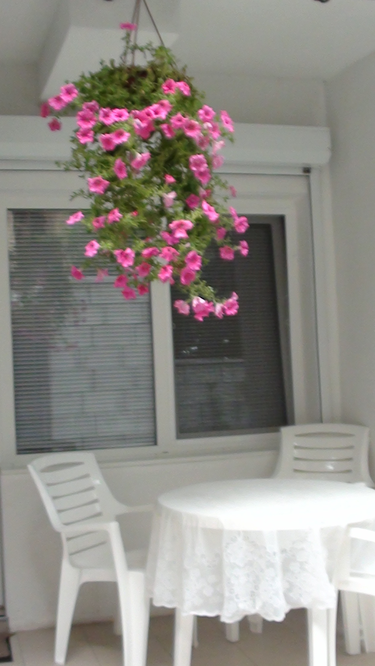 Сдается 2-х комнатная квартира с видом на море в Мисхоре  в городе Гаспра, фото 2, стоимость: 2 900 руб.