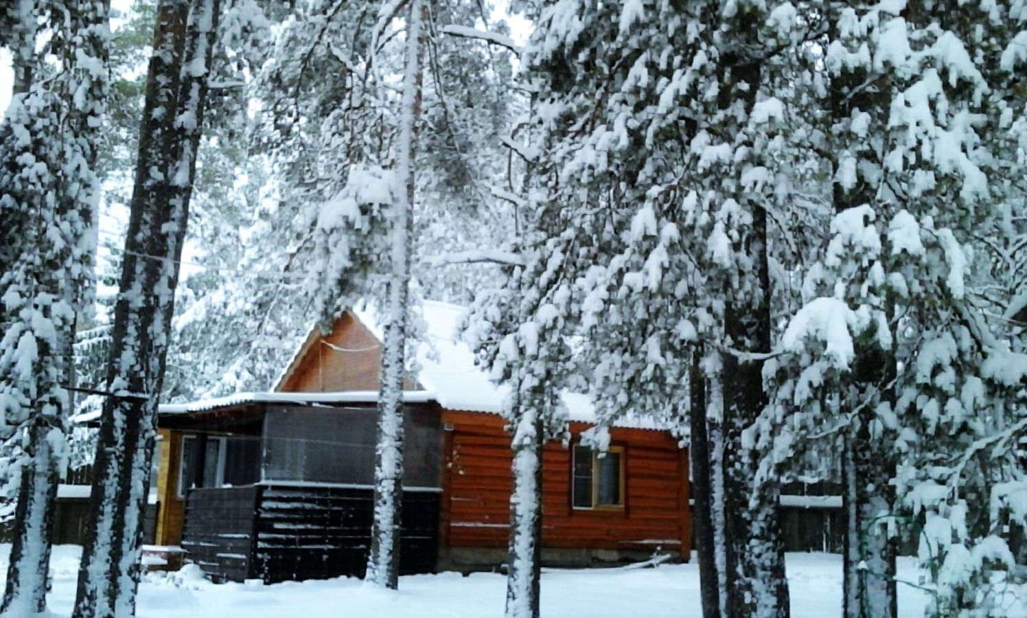 Сдаю дом в турбазе Чайка - Селигер, в сосновом бору, у озера в городе Осташков, фото 1, Тверская область