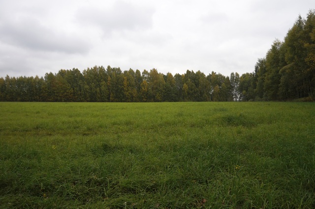 Земельный участок под строительство, на берегу Волги, в городе Углич, фото 2, Продажа земли под индивидуальное строительство
