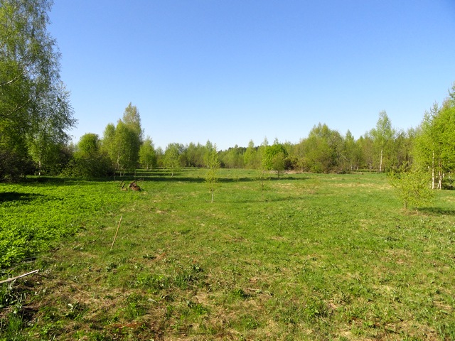 Земельный участок под застройку, в жилом селе в городе Углич, фото 1, стоимость: 200 000 руб.
