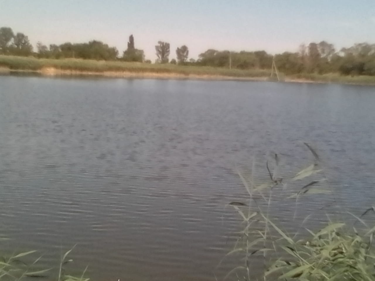 Продается зарыбленное прудовое хозяйство. в городе Пролетарск, фото 1, стоимость: 30 000 000 руб.