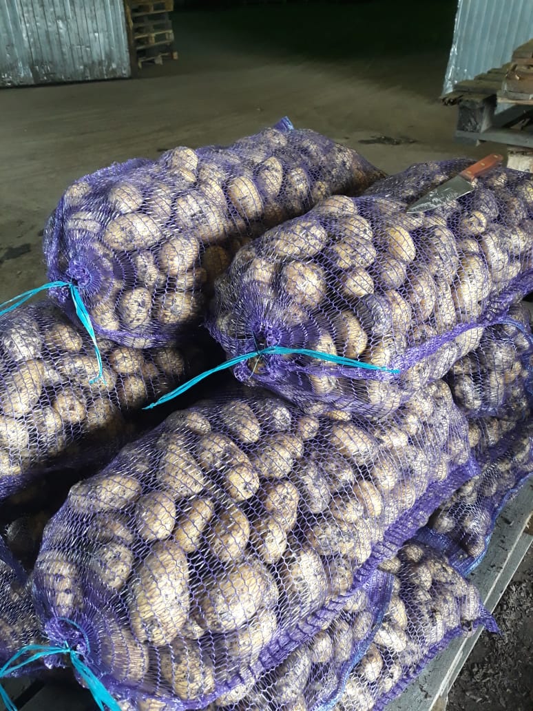 Заключаем контракты на свежий урожай картофеля в городе Кемерово, фото 3, стоимость: 2 руб.