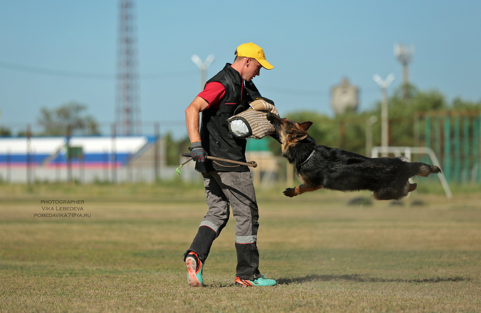 Дрессировка собак в городе Энгельс, фото 1, Саратовская область