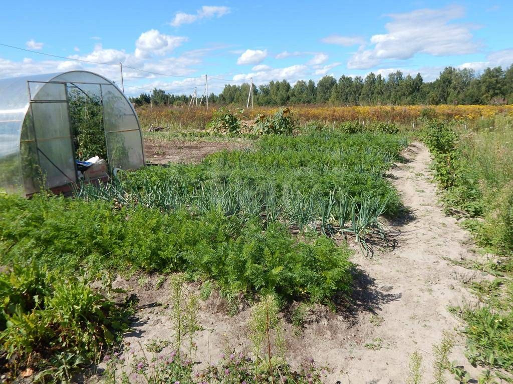 Продам земельный участок в городе Тюмень, фото 5, Другое