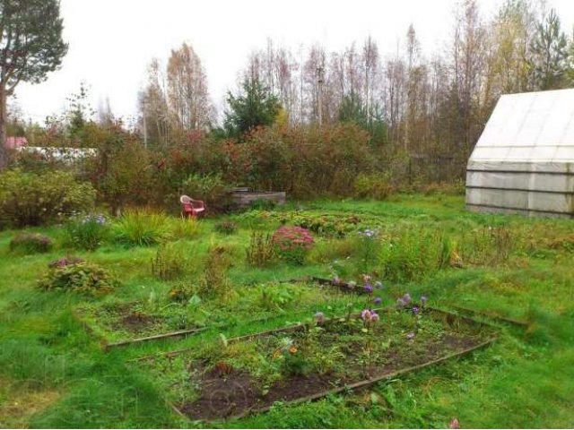 Дача в пос. Каннельярви. Выборгский район ЛО. в городе Выборг, фото 4, Дачи