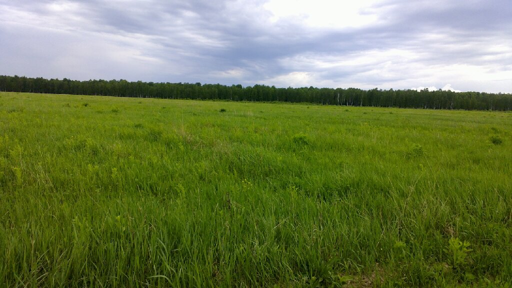 470га сельхоз назначения в Угранском районе в городе Вязьма, фото 2, телефон продавца: +7 (963) 641-46-37