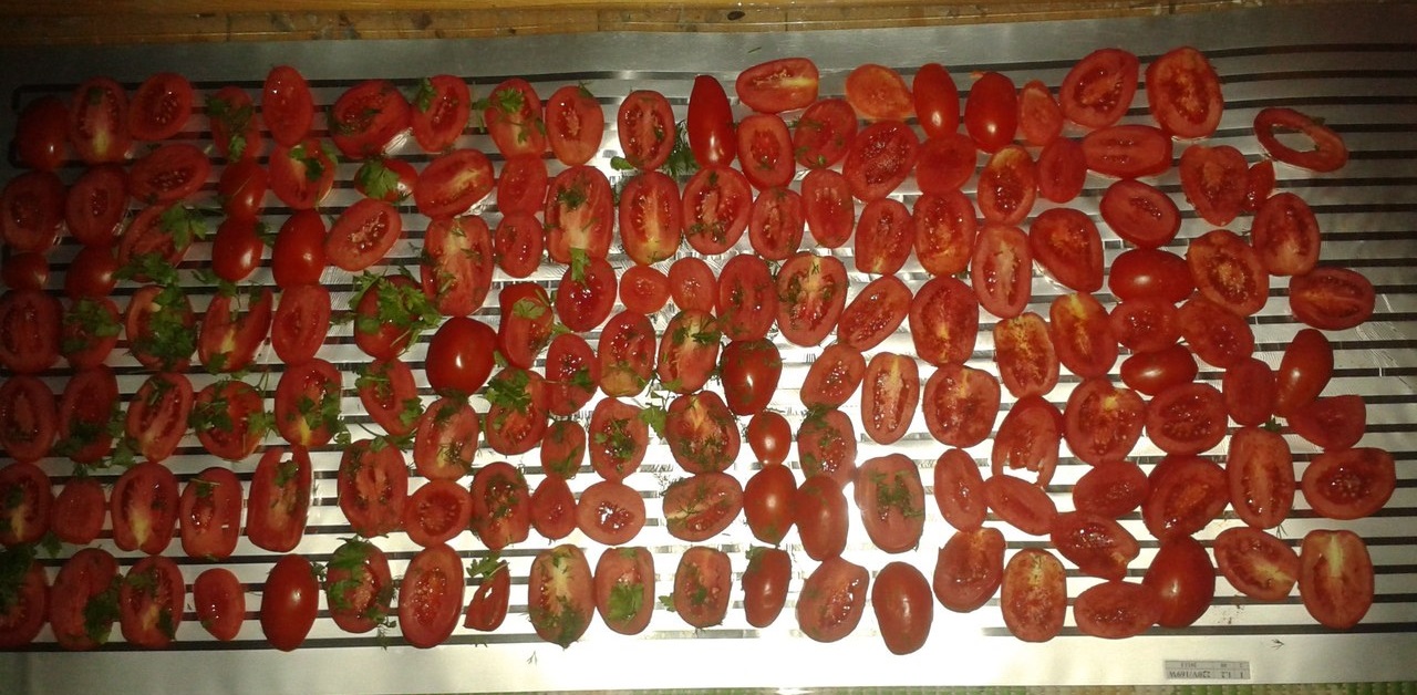 Бытовая инфракрасная сушилка для фруктов и овощей! в городе Нижний Новгород, фото 3, стоимость: 1 500 руб.