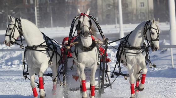 ДОСУГ    ВЫХОДНОГО ДНЯ.....ВЕЛИКИЙ НОВГОРОД  в городе Санкт-Петербург, фото 4, Другое