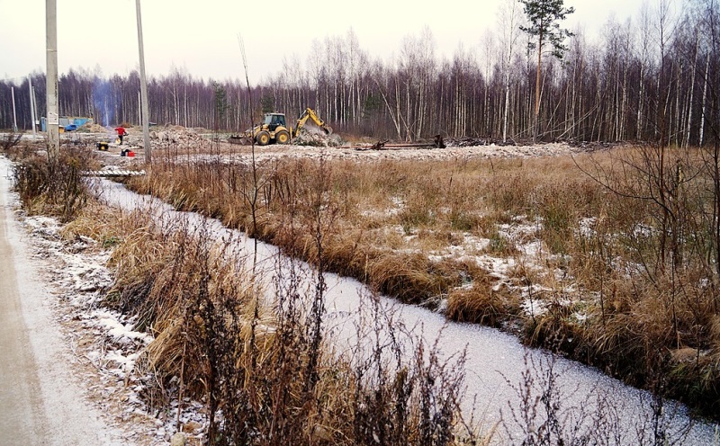 Участок в СНТ Волшебный сад в городе Всеволожск, фото 3, Продажа земли под сад и огород