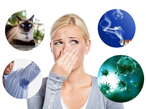 Озонирование помещений, удаление запаха, бактерий в городе Рязань, фото 2, телефон продавца: +7 (920) 958-38-88