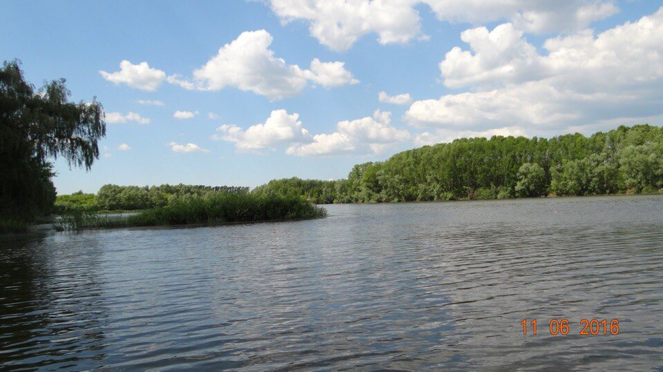 Продается пруд  в городе Тольятти, фото 3, стоимость: 5 000 руб.