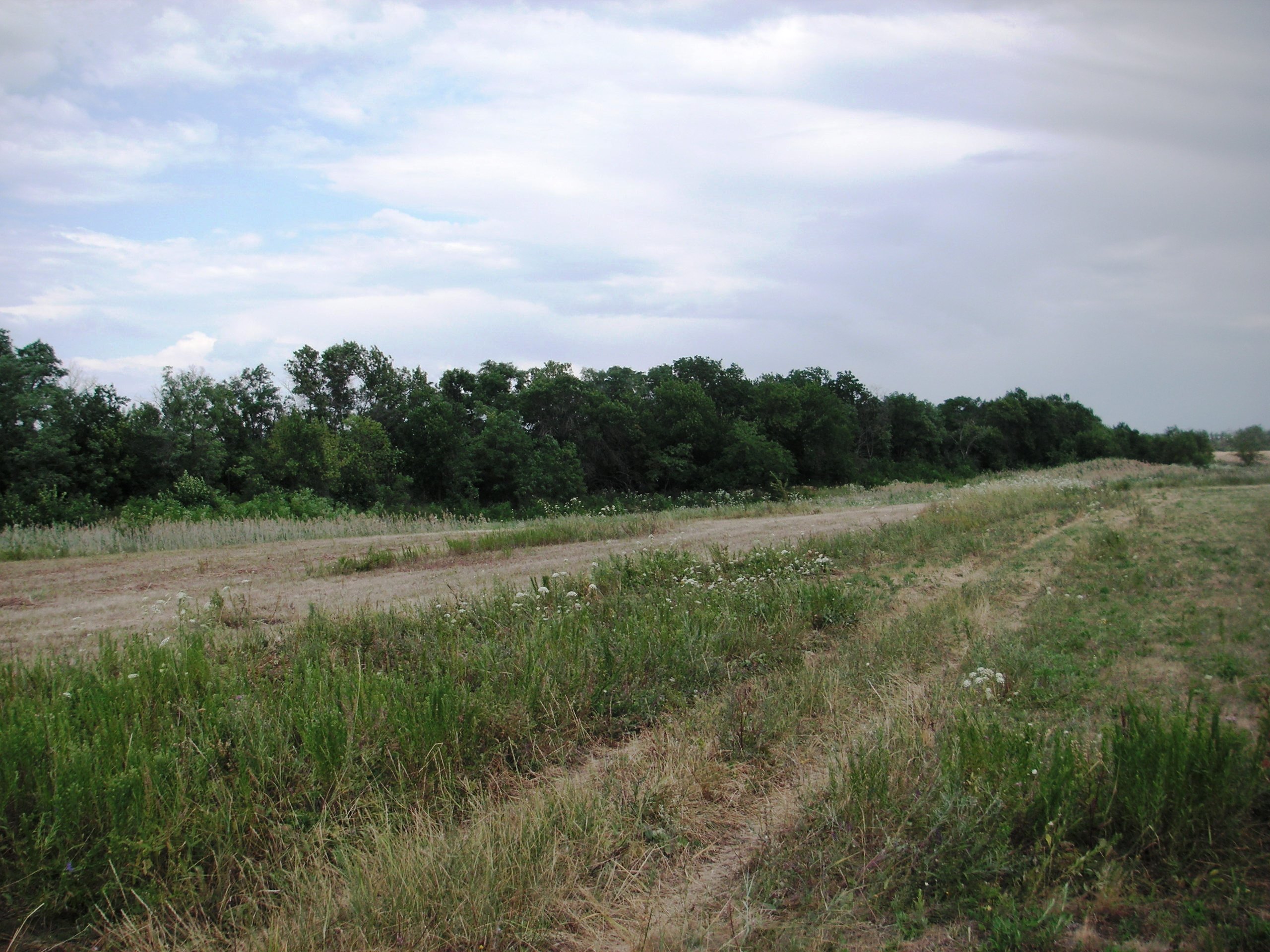 Продам земельный участок 7.4 га сельхозназначения в городе Родионово-Несветайская, фото 5, телефон продавца: +7 (908) 181-88-01
