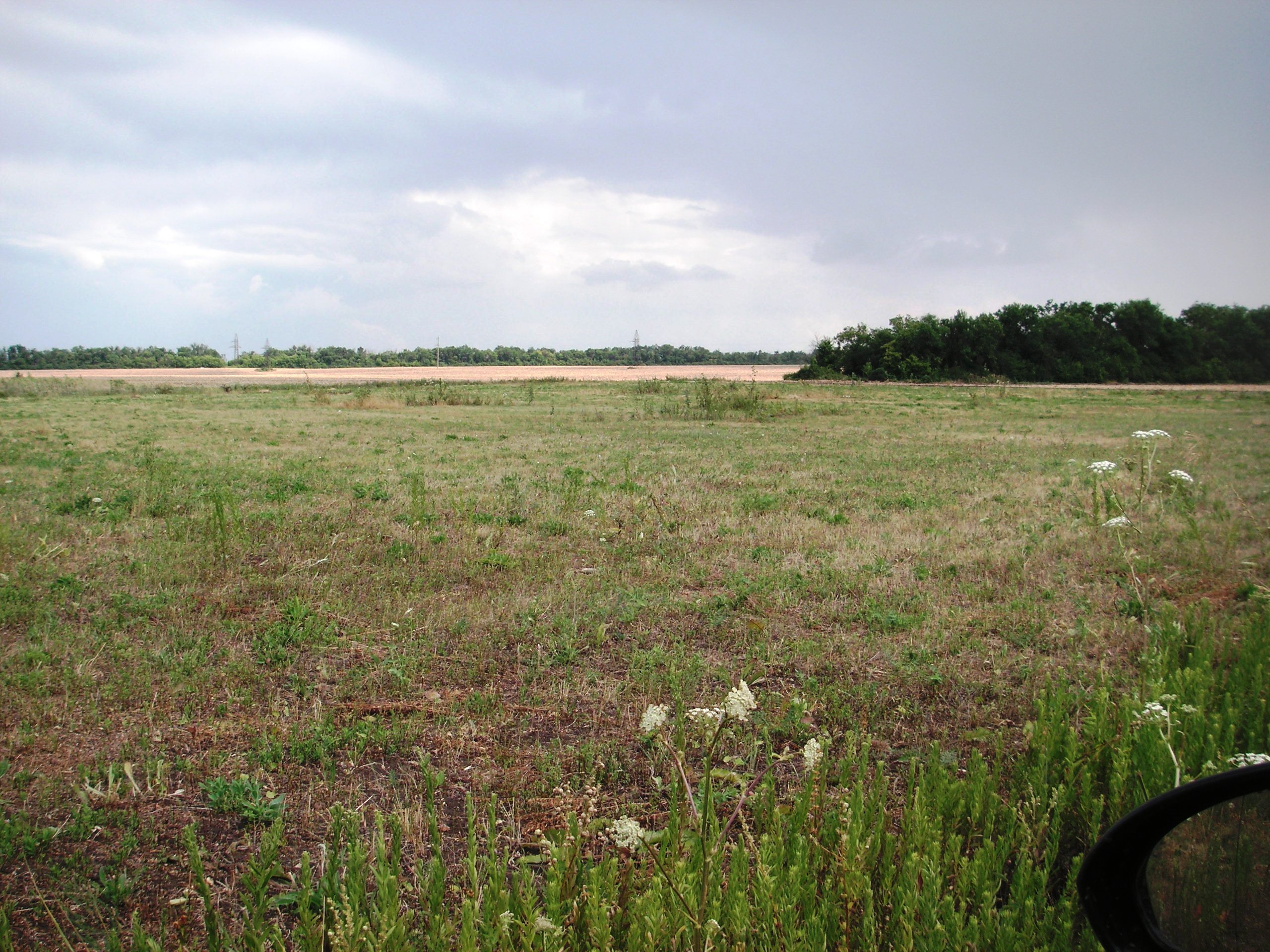 Продам земельный участок 7.4 га сельхозназначения в городе Родионово-Несветайская, фото 4, Продажа земли сельхоз назначения