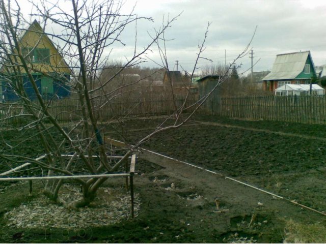 Продаю дачу в городе Омск, фото 4, Дачи