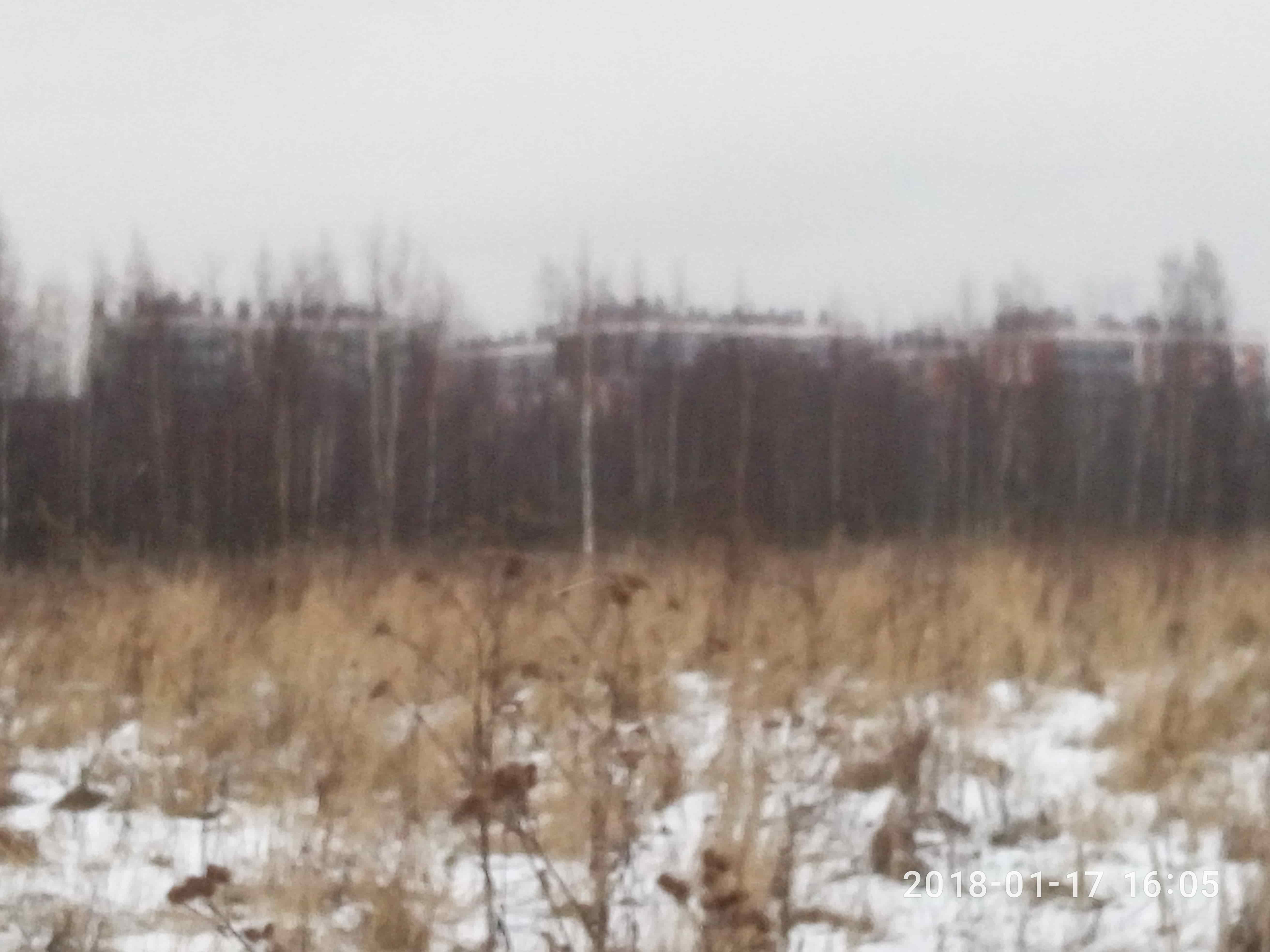 3 Га с/х земель в Ленинградской области в городе Санкт-Петербург, фото 1, стоимость: 2 364 660 руб.