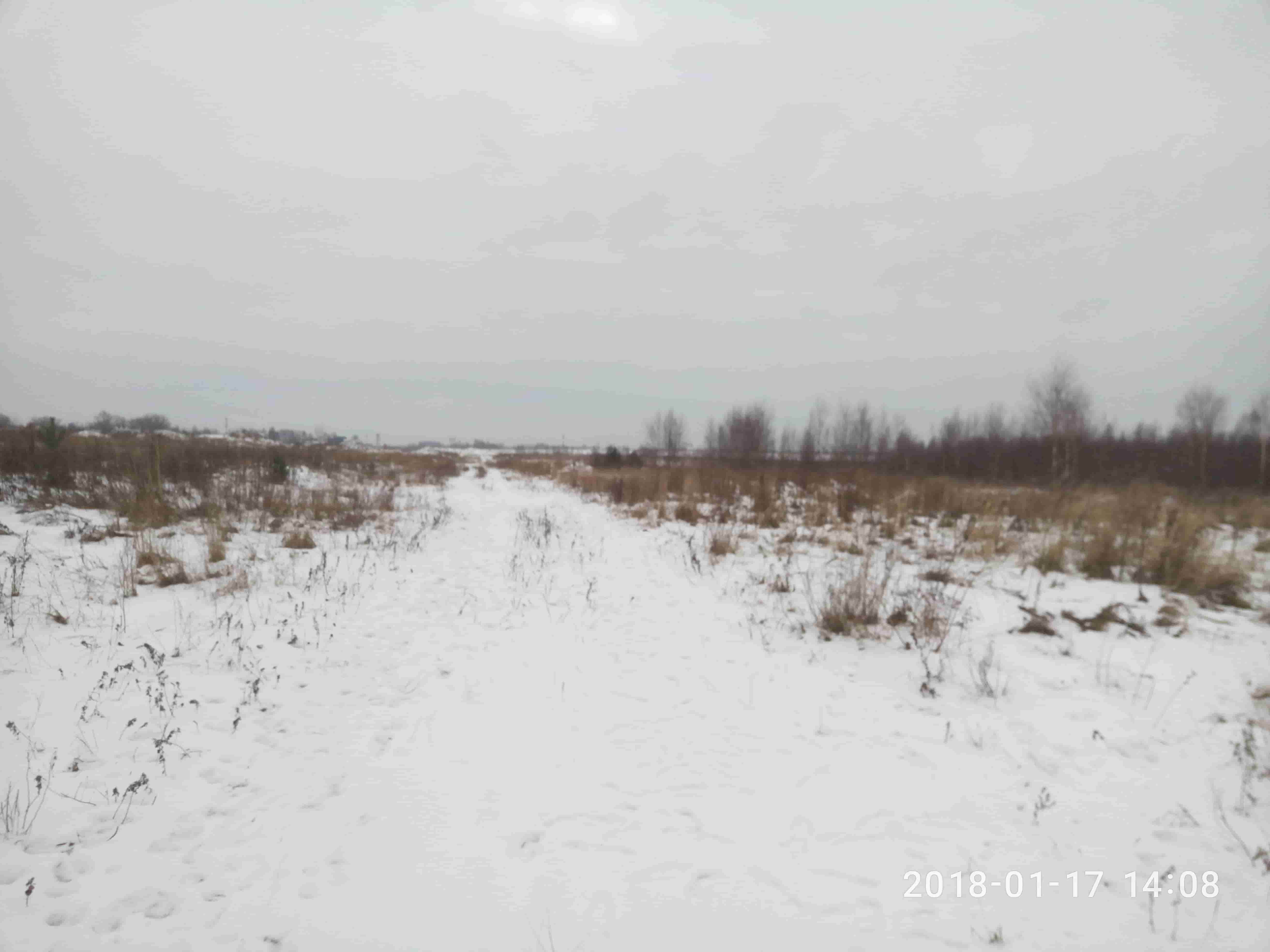 3 Га с/х земель в Ленинградской области в городе Санкт-Петербург, фото 8, телефон продавца: +7 (952) 210-56-43