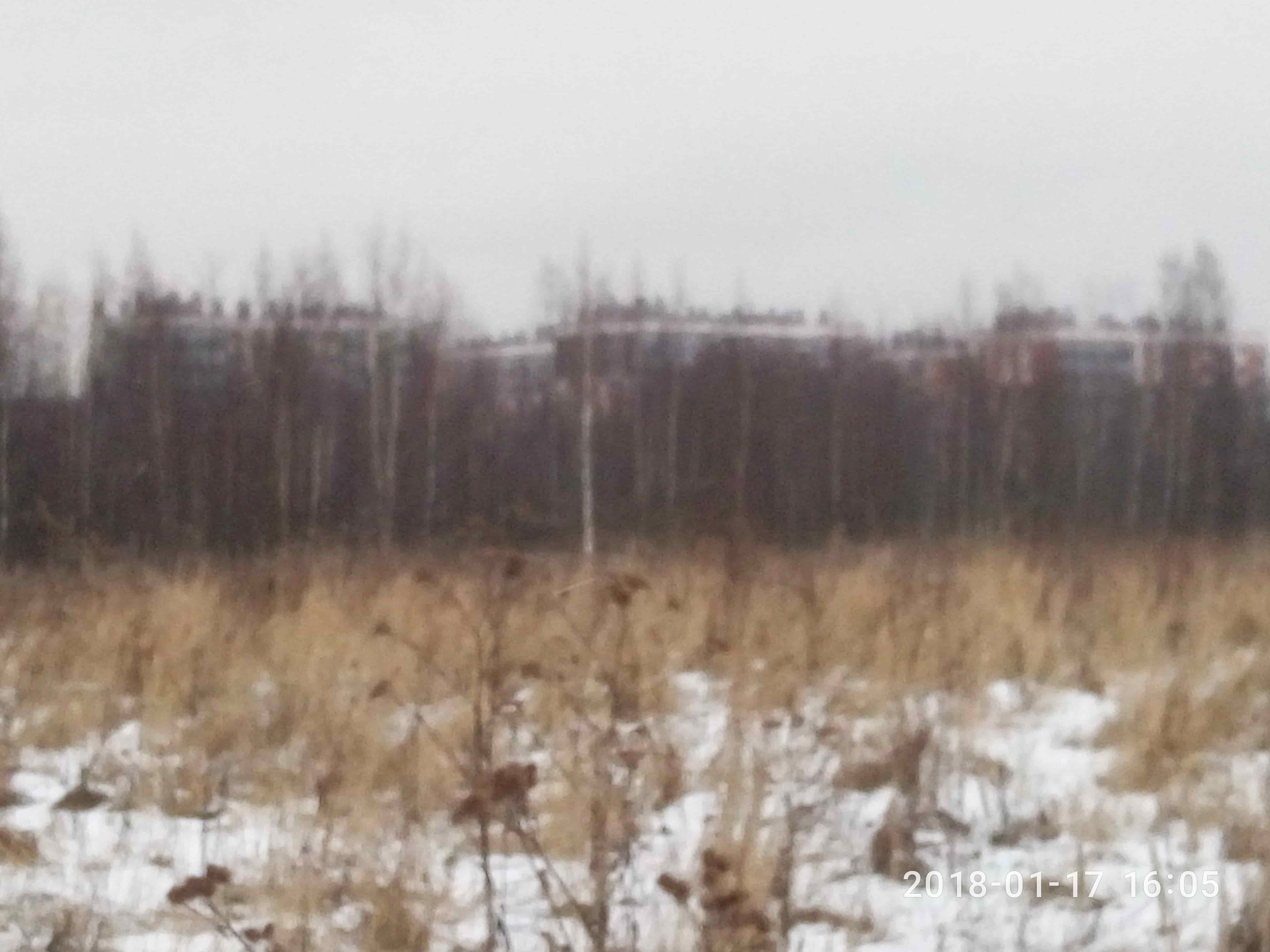 3 Га с/х земель в Ленинградской области в городе Санкт-Петербург, фото 1, Ленинградская область