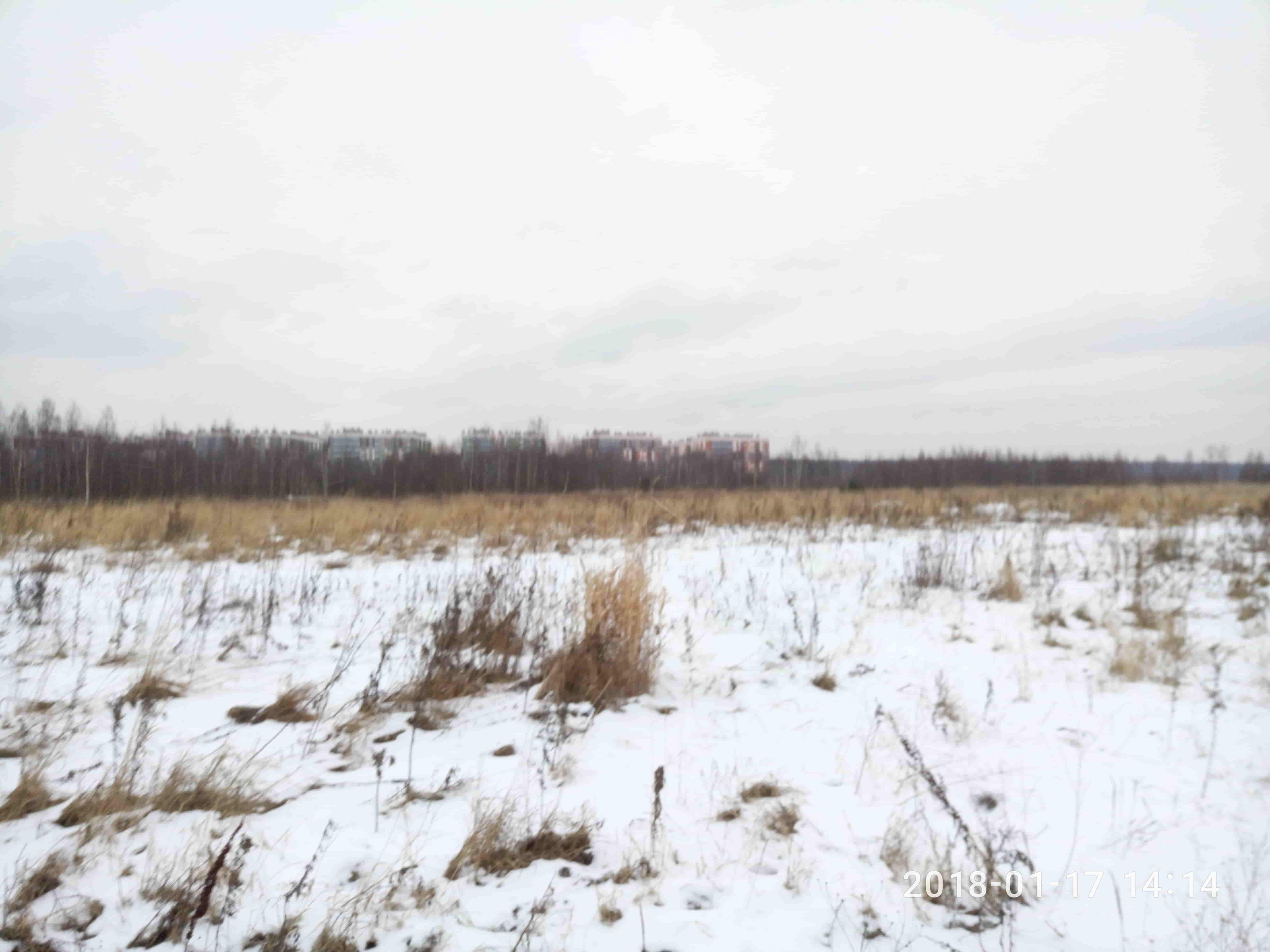 3 Га с/х земель в Ленинградской области в городе Санкт-Петербург, фото 7, стоимость: 2 364 660 руб.