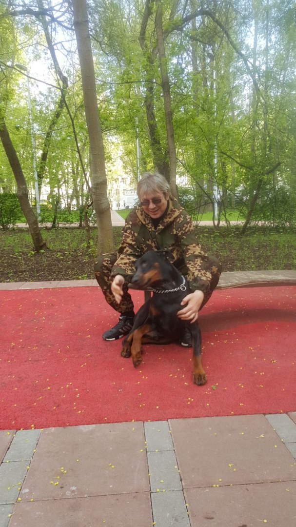 Кинолог: профессиональная дрессировка собак в городе Москва, фото 7, телефон продавца: +7 (964) 582-77-54