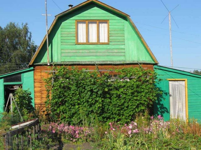 Купить Дачу В Назарово Свежие Объявления