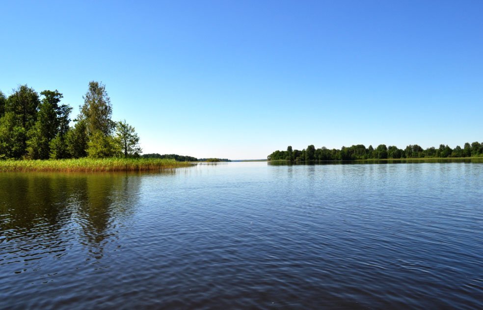 Земельный участок ИЖС на берегу Жижицкого озера в городе Кунья, фото 1, Псковская область