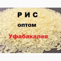 Рис оптом  в городе Уфа, фото 2, стоимость: 38 руб.