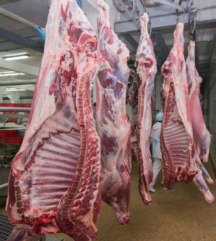 Мясо от 1 тн куриное, говядина, баранина в городе Фрязино, фото 1, телефон продавца: +7 (495) 230-27-59