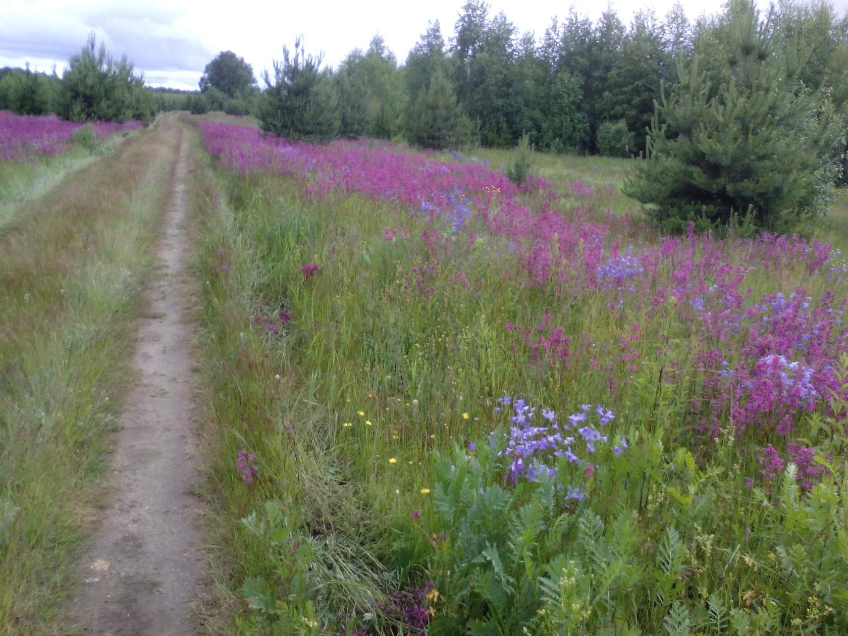 Продажа в городе Кострома, фото 1, Костромская область