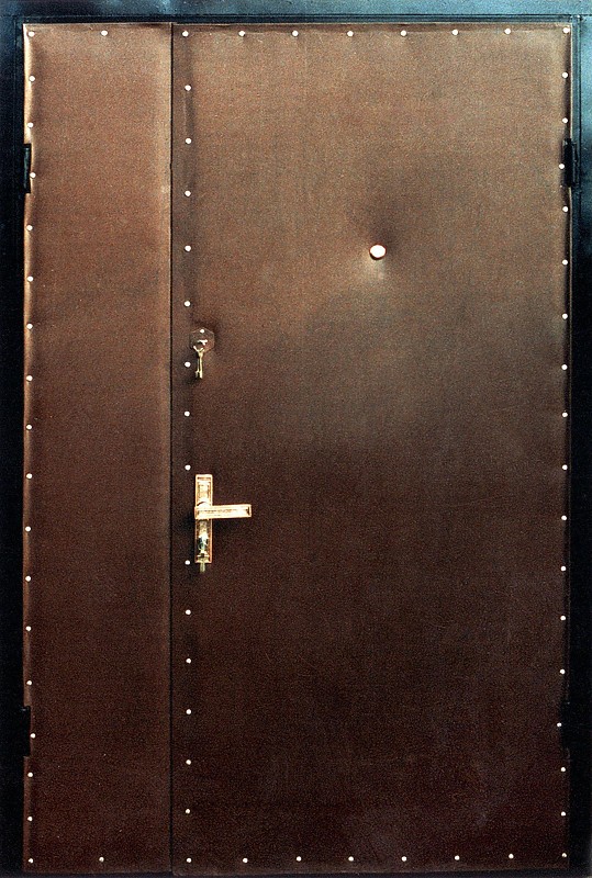 Стальные двери в домодедово видное ступино кашире подольске чехове в городе Домодедово, фото 1, телефон продавца: +7 (926) 974-70-14