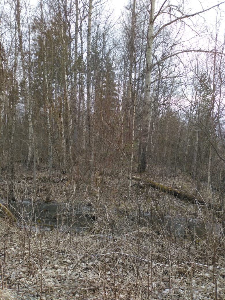 Продам земельный участок в городе Приозерск, фото 3, Земельные участки