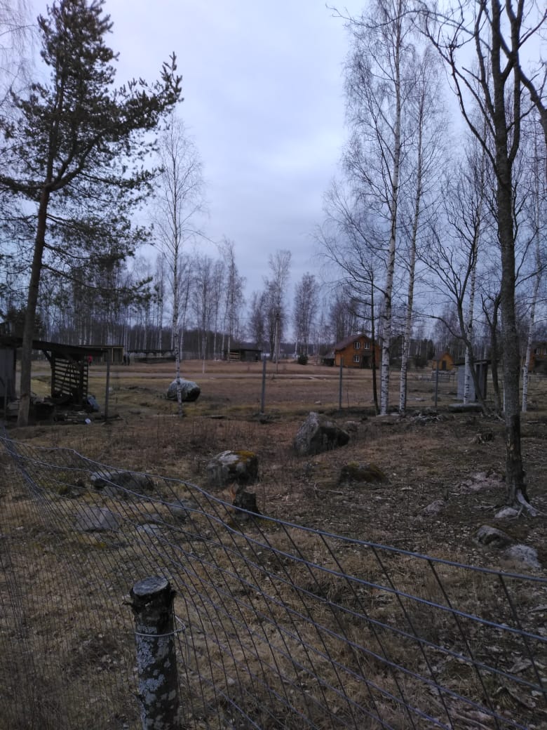 Продам земельный участок в городе Приозерск, фото 1, Ленинградская область