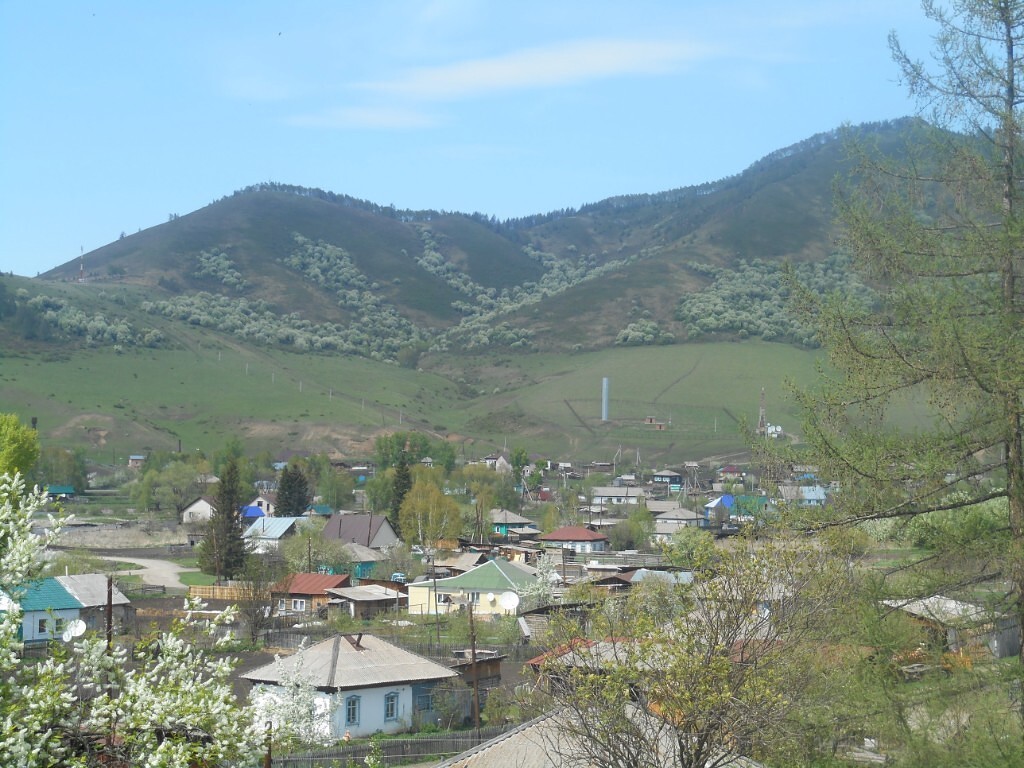 Продам Дом в Топольном в городе Солонешное, фото 3, Алтайский край