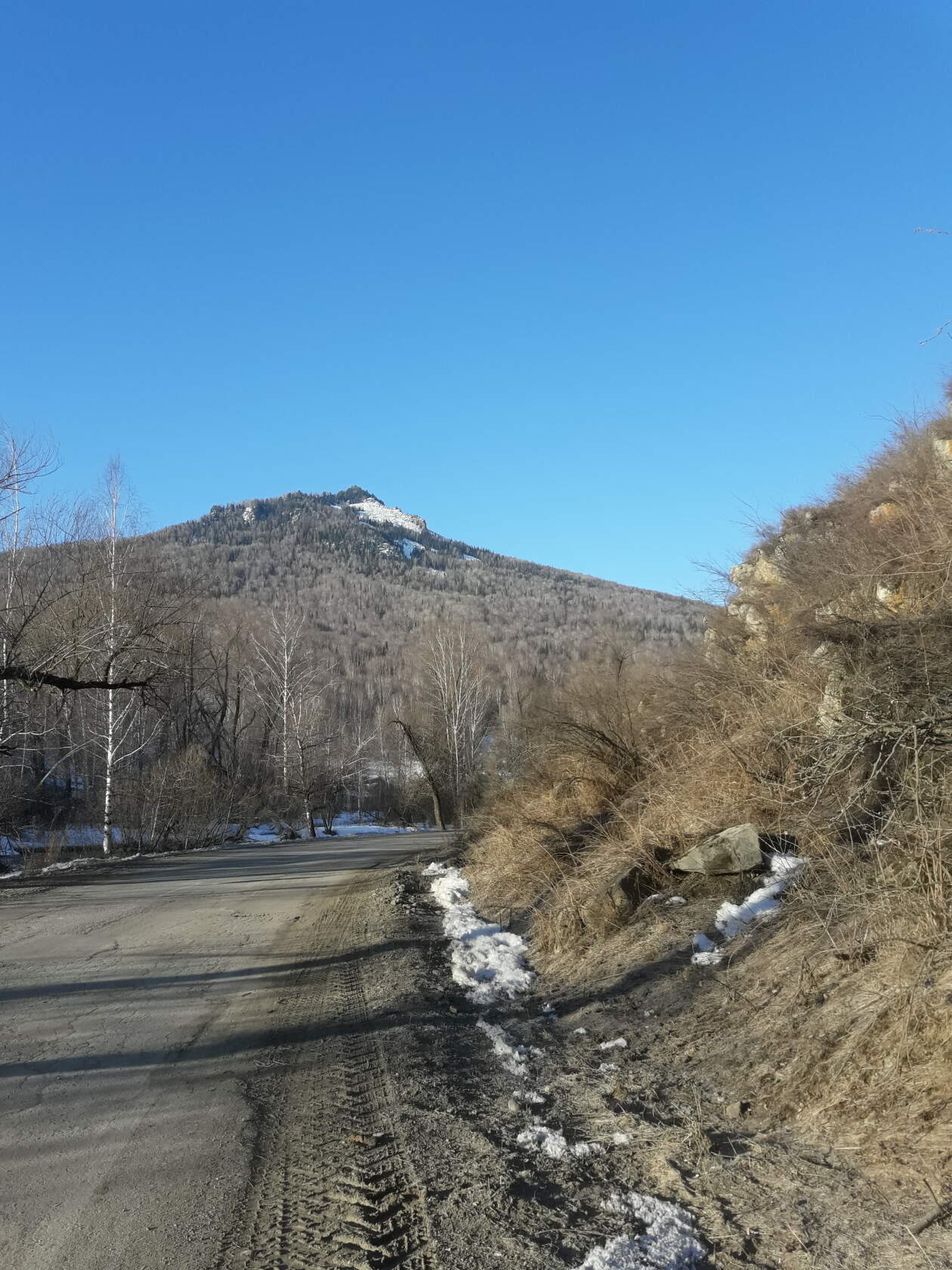 Продам Дом в Топольном в городе Солонешное, фото 4, Продажа домов за городом