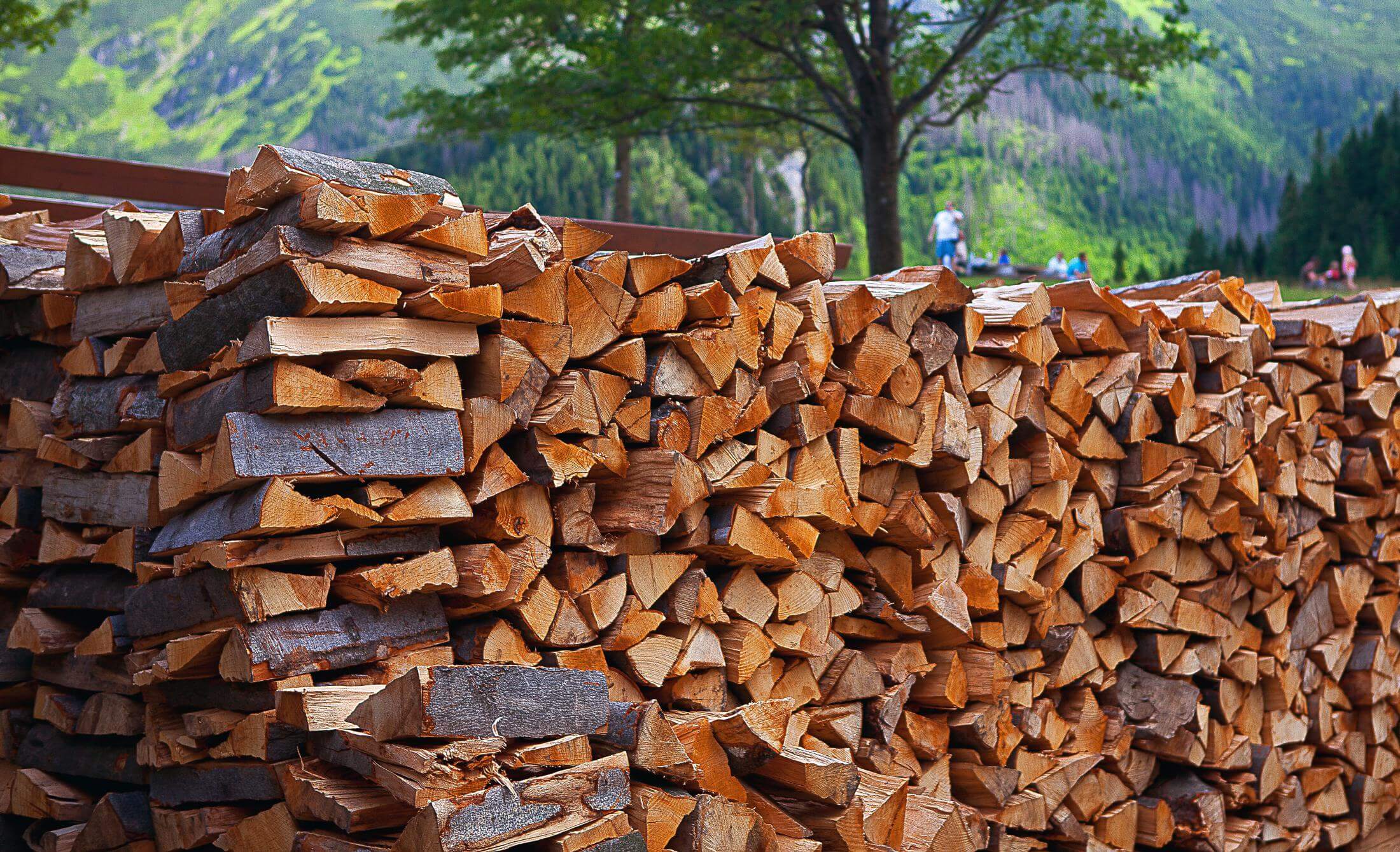 Доставка дров в городе Тверь, фото 1, телефон продавца: +7 (904) 010-29-50