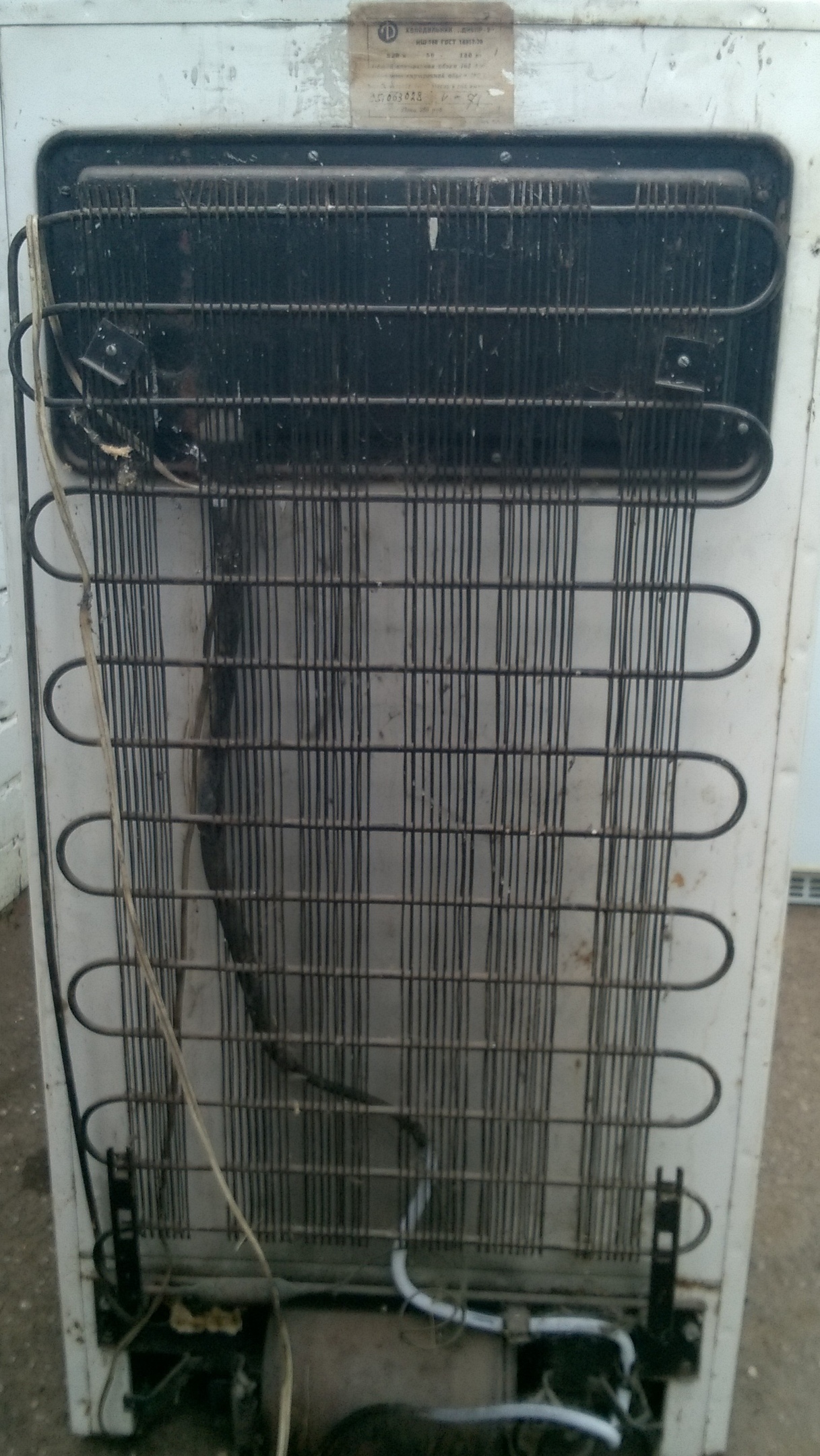 Холодильник в городе Энгельс, фото 3, стоимость: 1 700 руб.